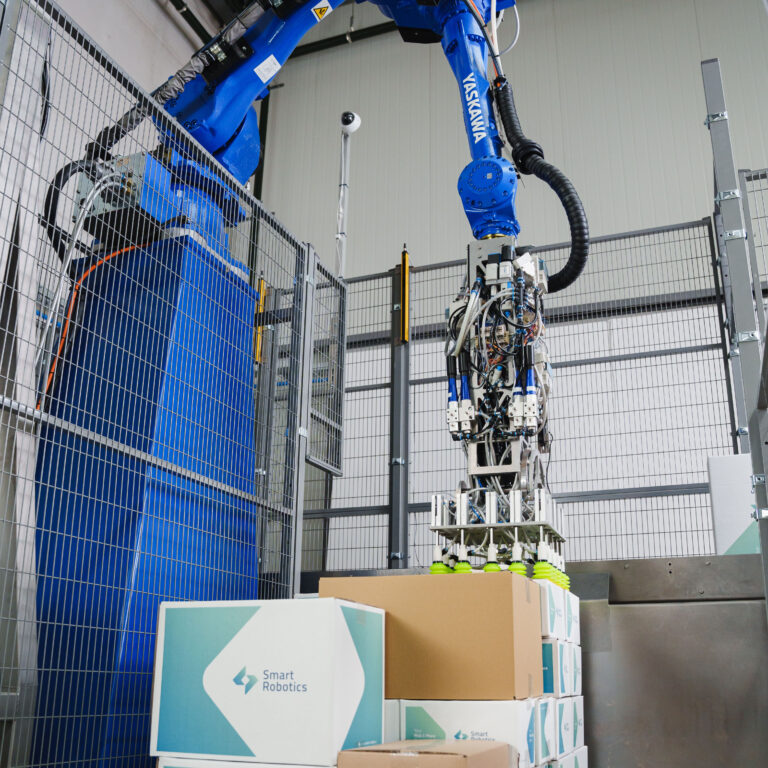 What is Palletizing? How Does It Work? Types & Process