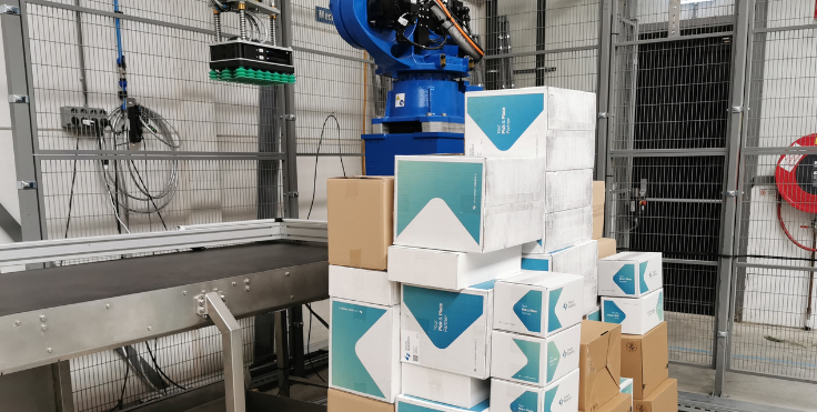 mixed case palletizers